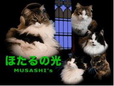 MUSASHI's ほたるの光