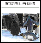 まっぷるガイド まっぷるガイド